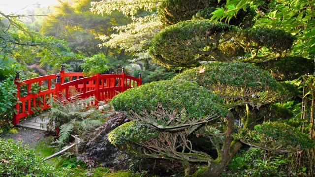 Pont rouge dans les Jardins du soleil levant au Parc botanique de Haute Bretagne