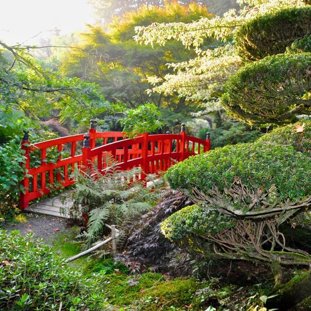 Pont rouge dans les Jardins du soleil levant au Parc botanique de Haute Bretagne