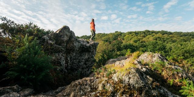 Les roches du Saut-Roland à Luitré-Dompierre