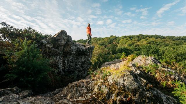 Les roches du Saut-Roland à Luitré-Dompierre