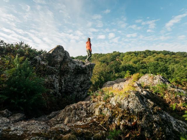 Les roches du Saut-Roland à Luitré-Dompierre