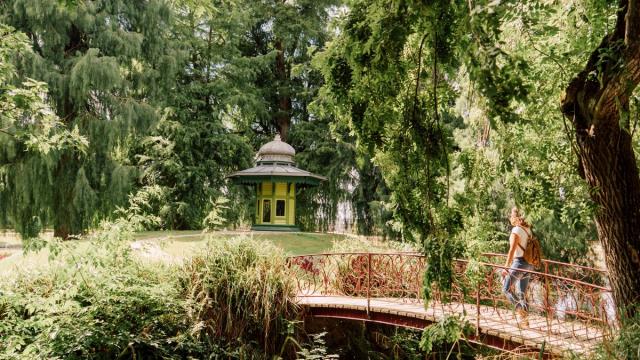 Jardin du parc à Vitré