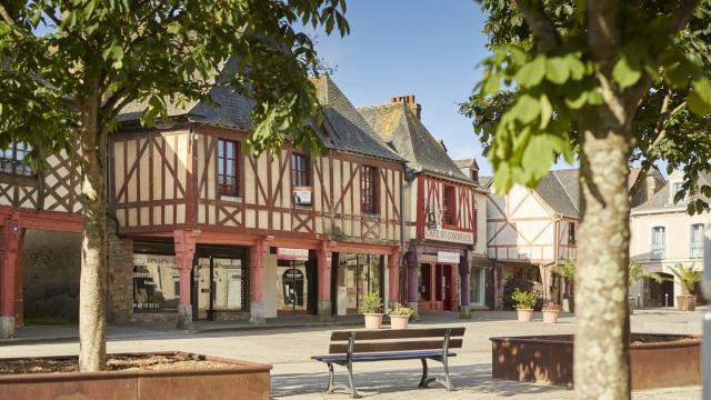 La Guerche de Bretagne, Maisons à pan de bois