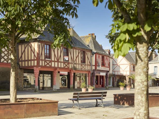 La Guerche de Bretagne, Maisons à pan de bois