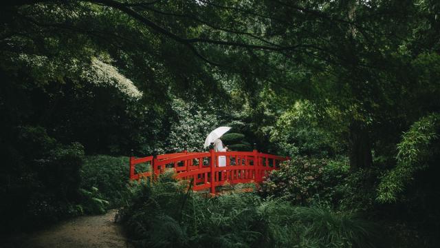 Pont japonais dans le Parc botanique de Haute Bretagne au Châtellier