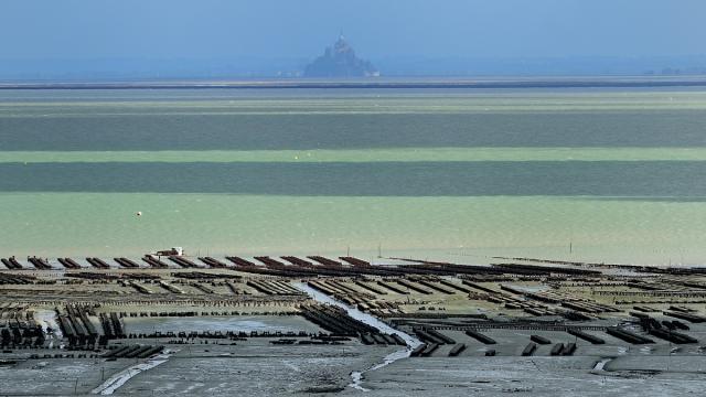 Parcs à huîtres à Cancale