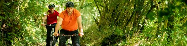 Parcours à VTT en forêt