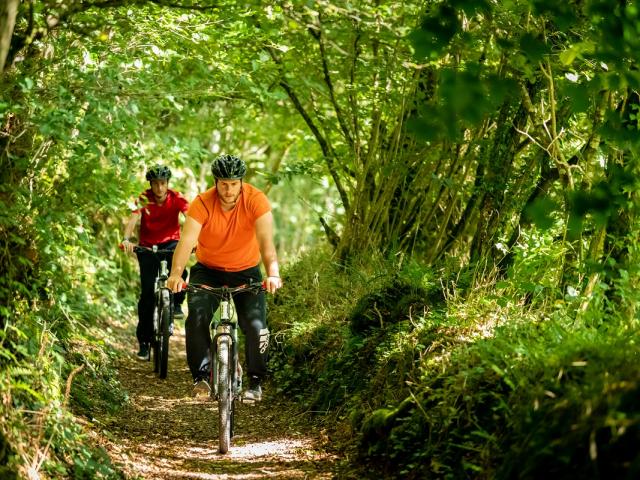 Parcours à VTT en forêt