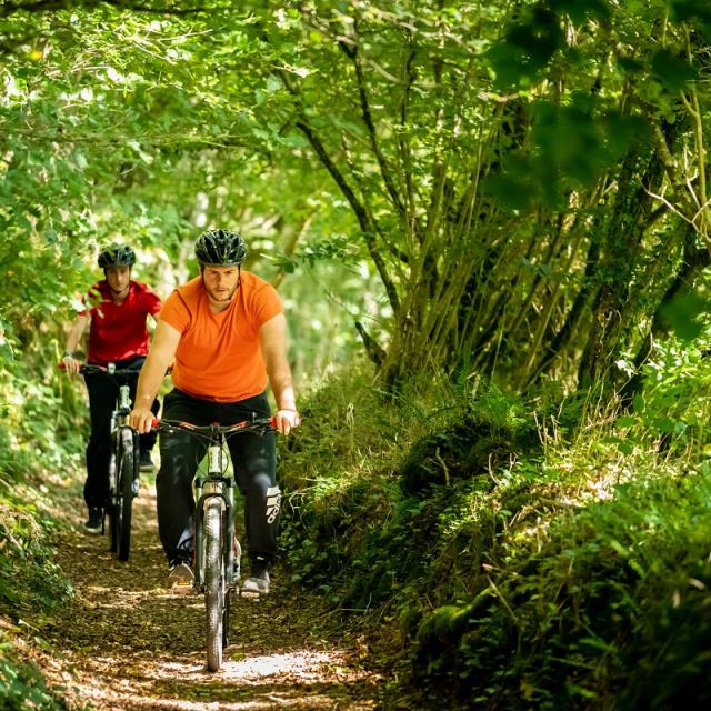 Parcours à VTT en forêt