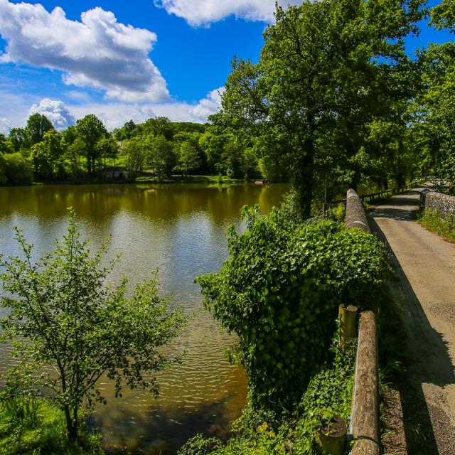 Etang de Chevré à La Bouëxière