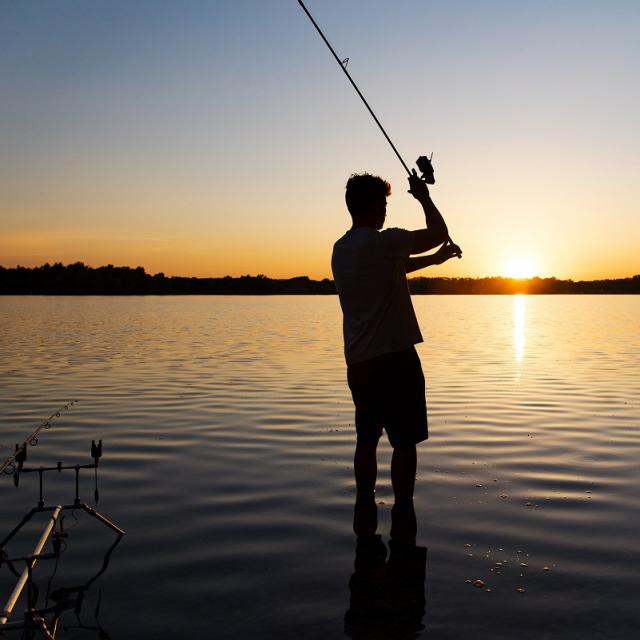 Pêche à la carpe de nuit