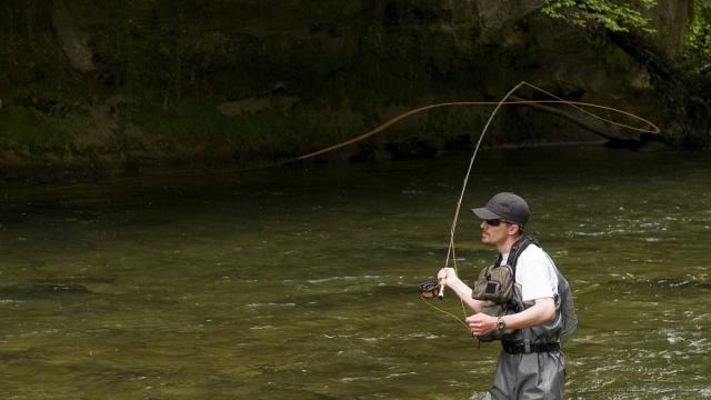 Pêche à la mouche