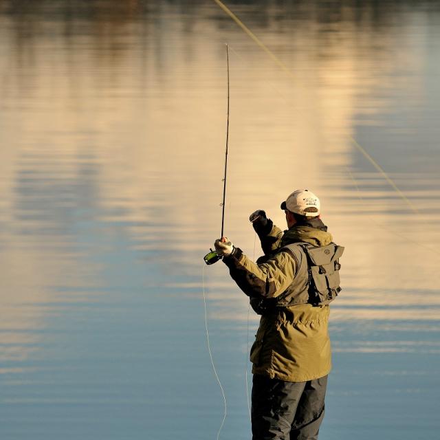 Pêche à la mouche