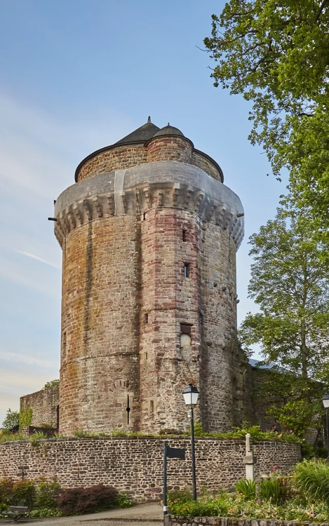 Tour du Papegault à Montfort-sur-Meu