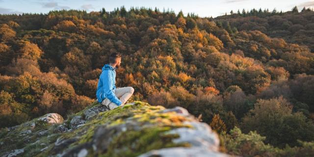 Le Val sans Retour à Paimpont.