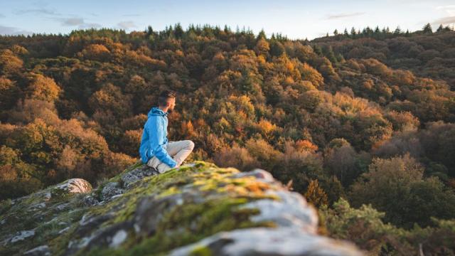 Le Val sans Retour à Paimpont.