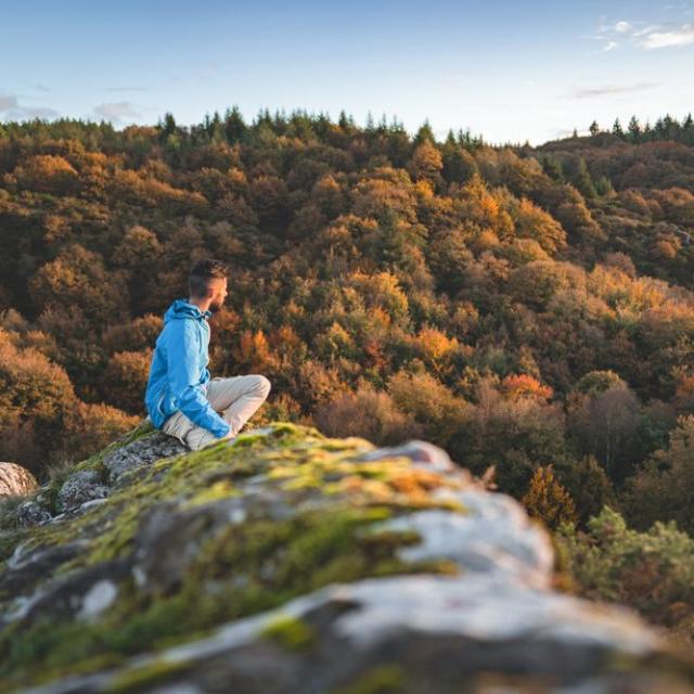 Le Val sans Retour à Paimpont.