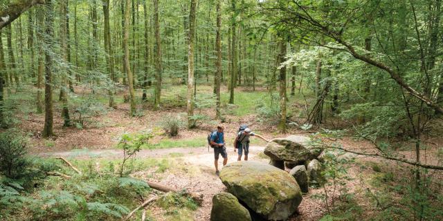 GR®37 cœur de Bretagne, Forêt de Fougères