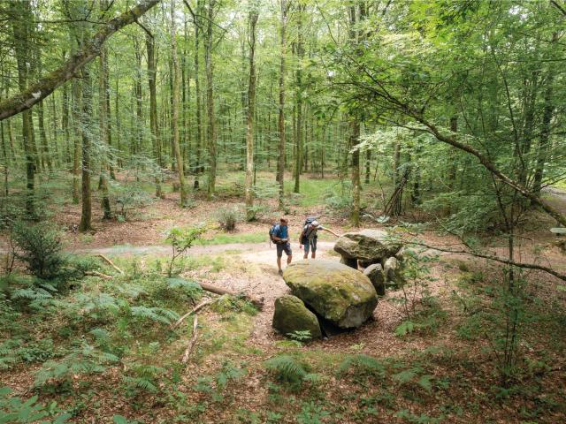 GR®37 cœur de Bretagne, Forêt de Fougères