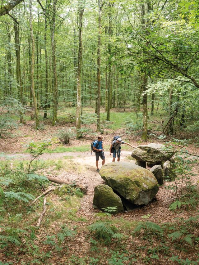 GR®37 cœur de Bretagne, Forêt de Fougères