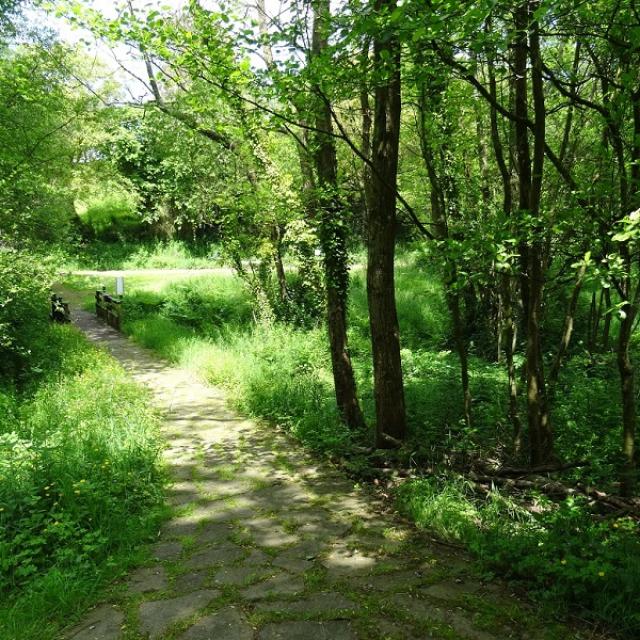 Chemin du Jardin de l'aau à Saint-Germain-en-Coglès