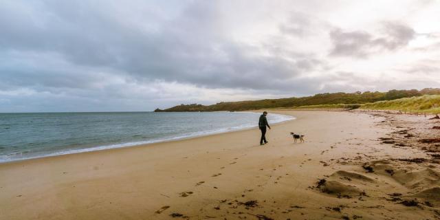 Plage du Verger à Cancale