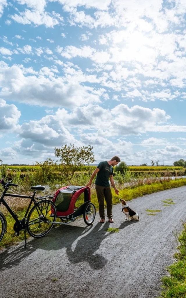 Balade à vélo le long de la Vilaine (La Chapelle-de-Brain)