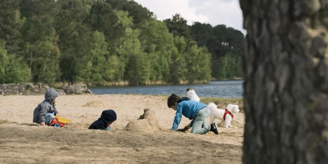 Château de sable au Lac De Trémelin, Iffendic