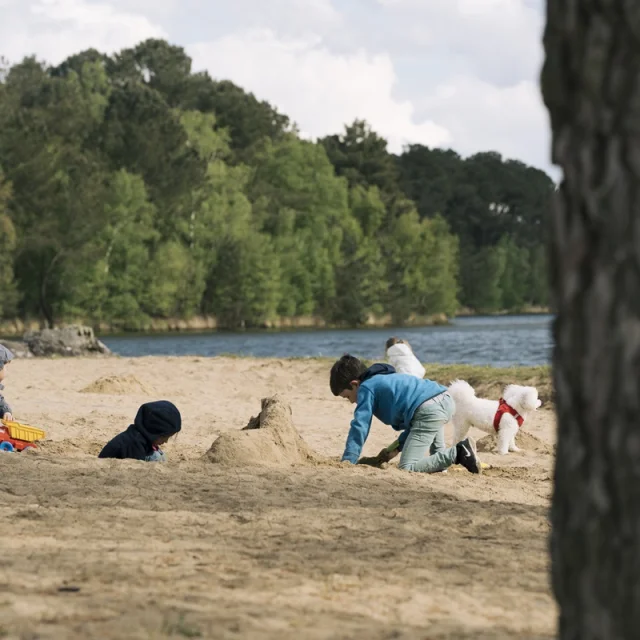 Château de sable au Lac De Trémelin, Iffendic