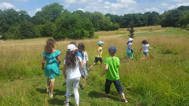 Le Parc De Quincampoix Melesse