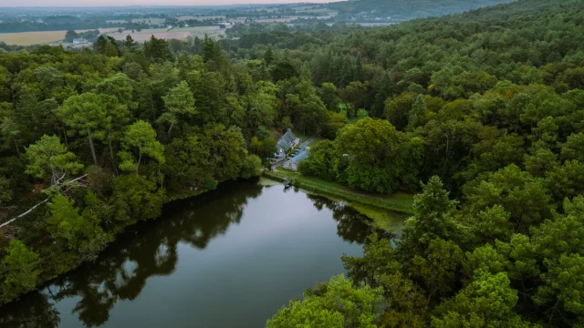 Bois Et Etang De Baron Guipry Messac Gerard Ganglion 6