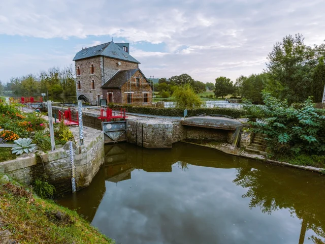 Moulin De La Bouexiere Gerard Ganglion 2