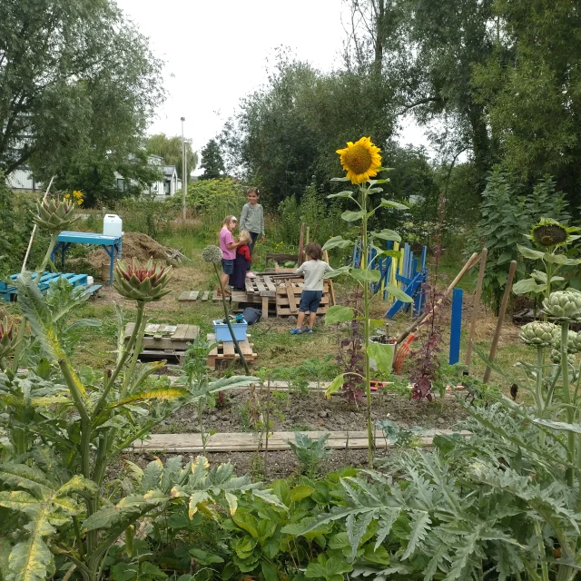 Les Mercredis Du Jardin Des Lutins