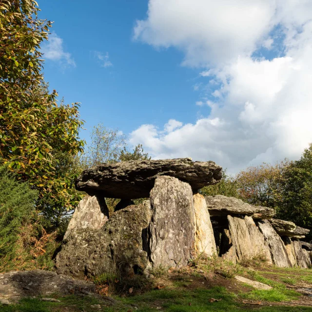 Sur Les Traces D'un Paleoenvironnement